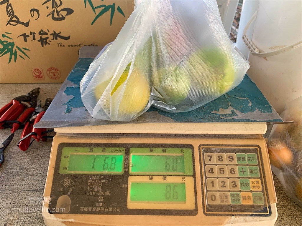 阿地草莓園⟩南投國姓採果景點，這次帶小孩來草莓園不是來採草莓，是來體驗採砂糖橘 @果果愛Fruitlove