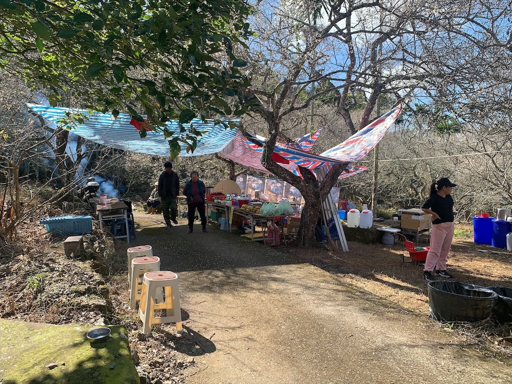 中寮劉家梅園⟩南投中寮免費賞梅景點，梅花祭開跑囉!超過百年的梅王就在這，園區大約兩百多棵梅樹，免費入園賞梅 @果果愛Fruitlove