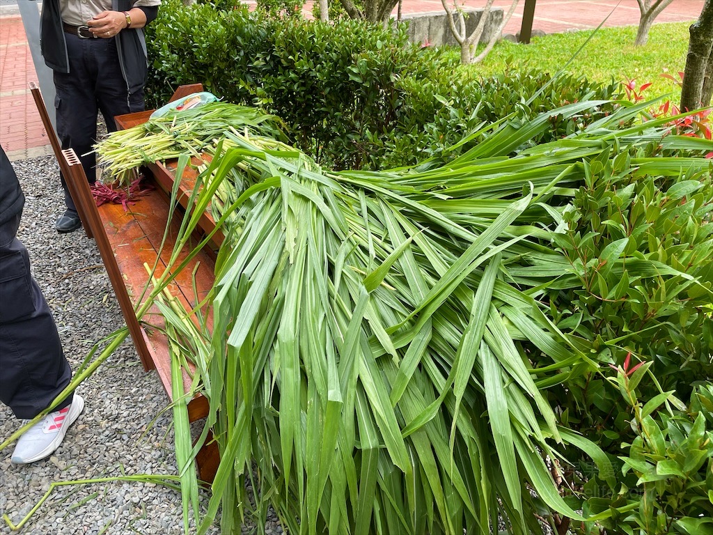 水与松萌萌園⟩南投埔里景點，許多可愛的超萌小動物，有超人氣的水豚君(卡皮巴拉)、笑笑羊，可以零距離和牠們互動 @果果愛Fruitlove