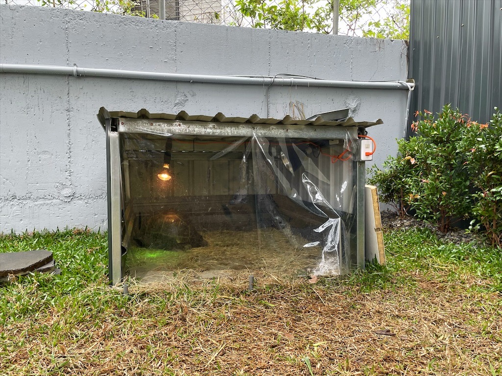 水与松萌萌園⟩南投埔里景點，許多可愛的超萌小動物，有超人氣的水豚君(卡皮巴拉)、笑笑羊，可以零距離和牠們互動 @果果愛Fruitlove