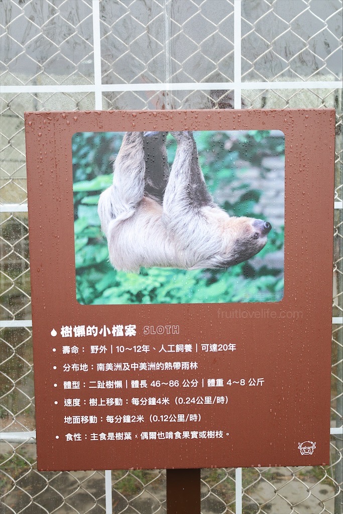 水与松萌萌園⟩南投埔里景點，許多可愛的超萌小動物，有超人氣的水豚君(卡皮巴拉)、笑笑羊，可以零距離和牠們互動 @果果愛Fruitlove