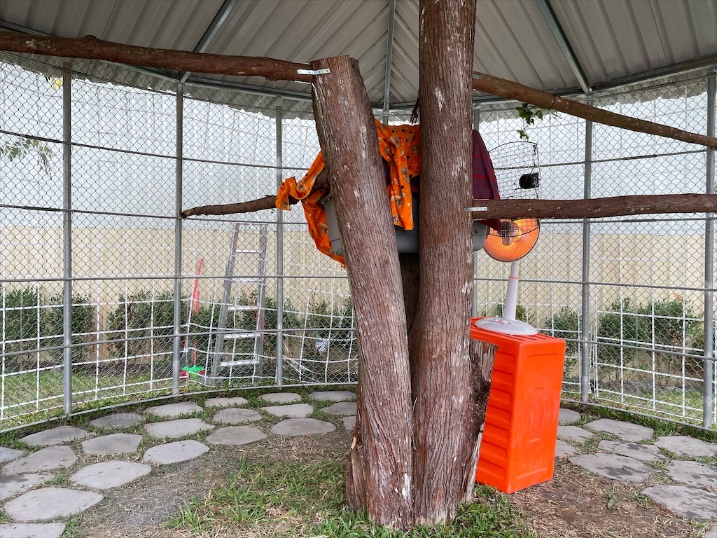 水与松萌萌園⟩南投埔里景點，許多可愛的超萌小動物，有超人氣的水豚君(卡皮巴拉)、笑笑羊，可以零距離和牠們互動 @果果愛Fruitlove