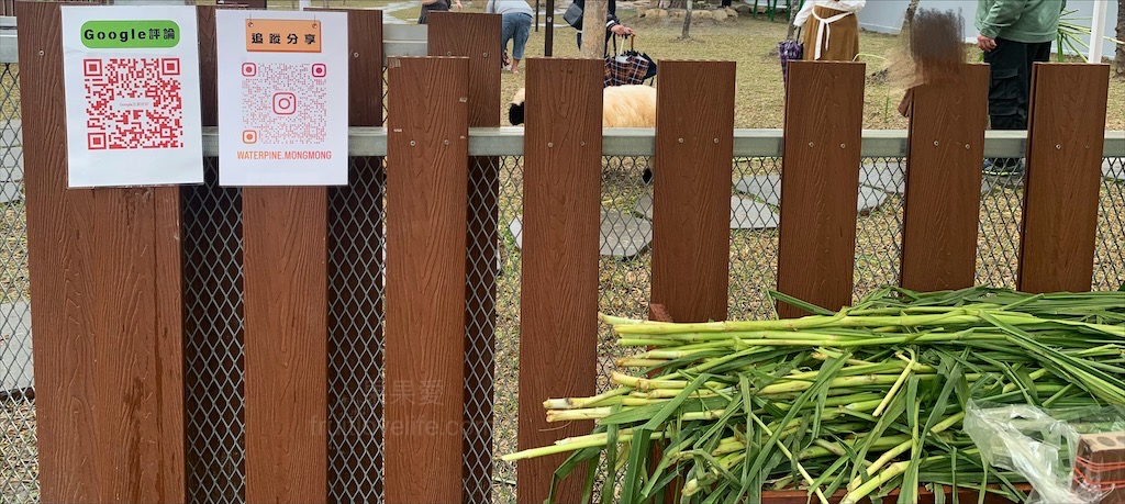 水与松萌萌園⟩南投埔里景點，許多可愛的超萌小動物，有超人氣的水豚君(卡皮巴拉)、笑笑羊，可以零距離和牠們互動 @果果愛Fruitlove