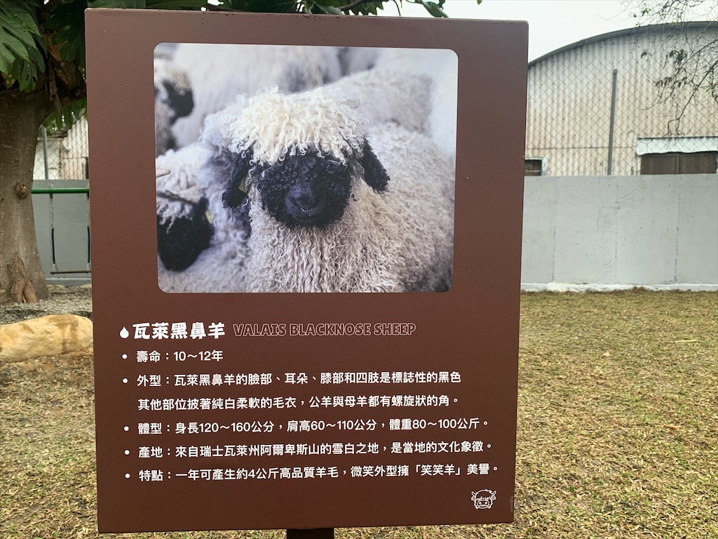 水与松萌萌園⟩南投埔里景點，許多可愛的超萌小動物，有超人氣的水豚君(卡皮巴拉)、笑笑羊，可以零距離和牠們互動 @果果愛Fruitlove