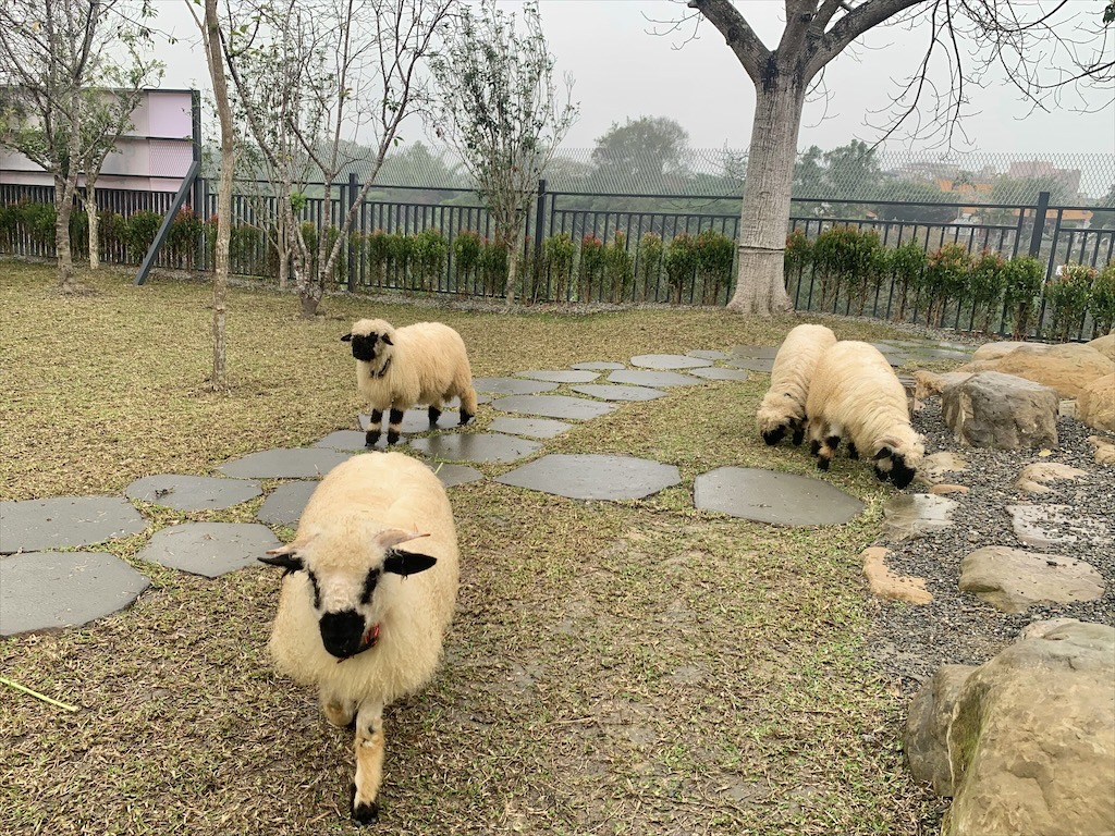 水与松萌萌園⟩南投埔里景點，許多可愛的超萌小動物，有超人氣的水豚君(卡皮巴拉)、笑笑羊，可以零距離和牠們互動 @果果愛Fruitlove