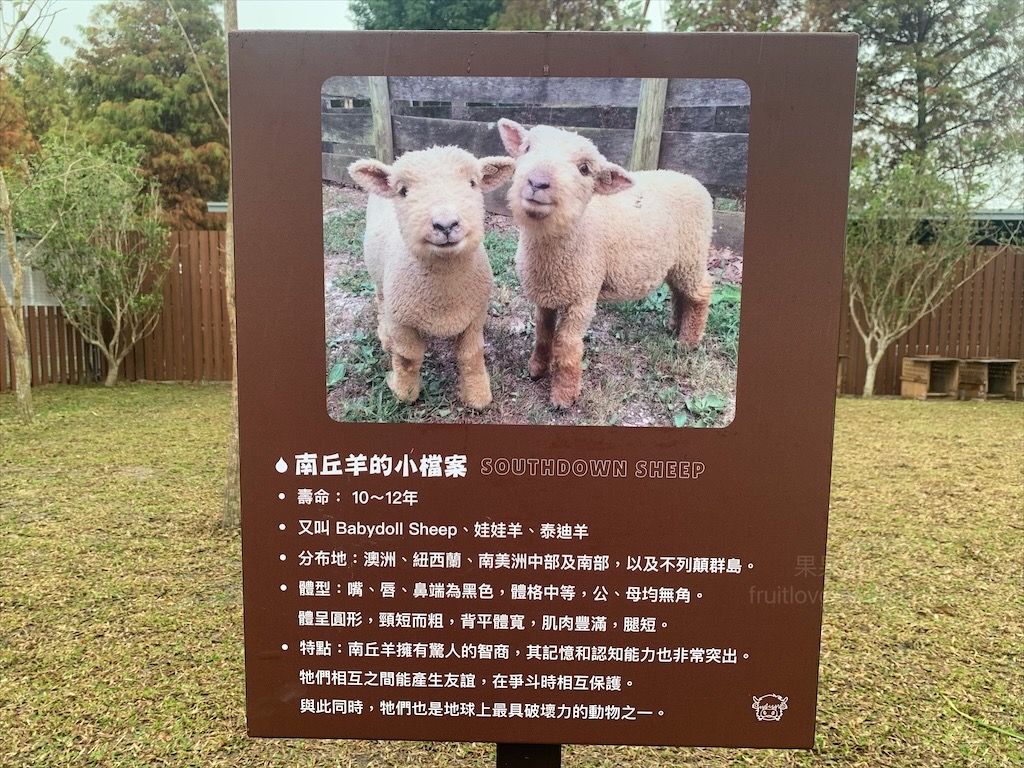 水与松萌萌園⟩南投埔里景點，許多可愛的超萌小動物，有超人氣的水豚君(卡皮巴拉)、笑笑羊，可以零距離和牠們互動 @果果愛Fruitlove