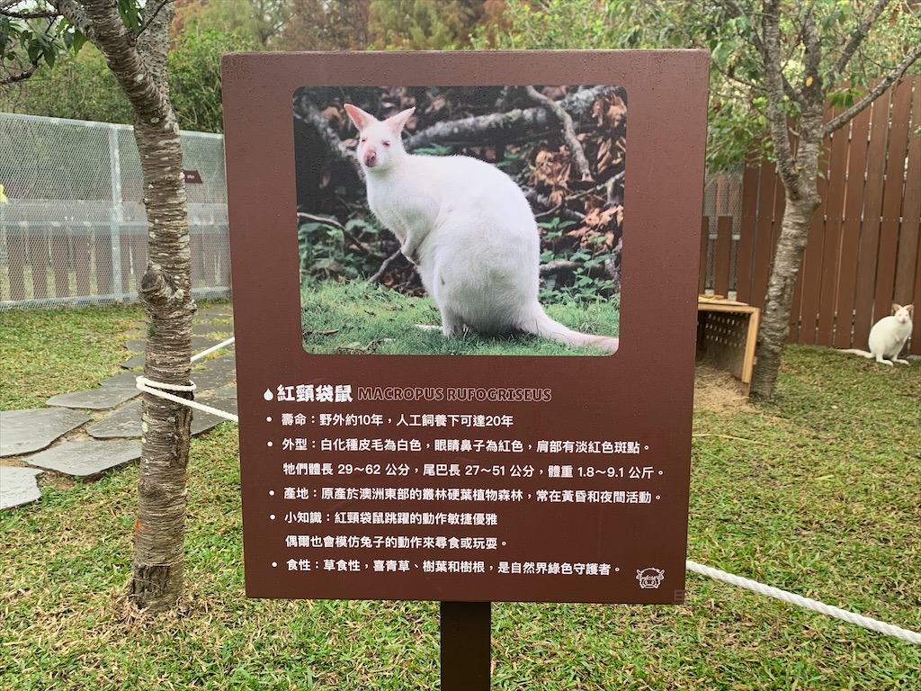 水与松萌萌園⟩南投埔里景點，許多可愛的超萌小動物，有超人氣的水豚君(卡皮巴拉)、笑笑羊，可以零距離和牠們互動 @果果愛Fruitlove