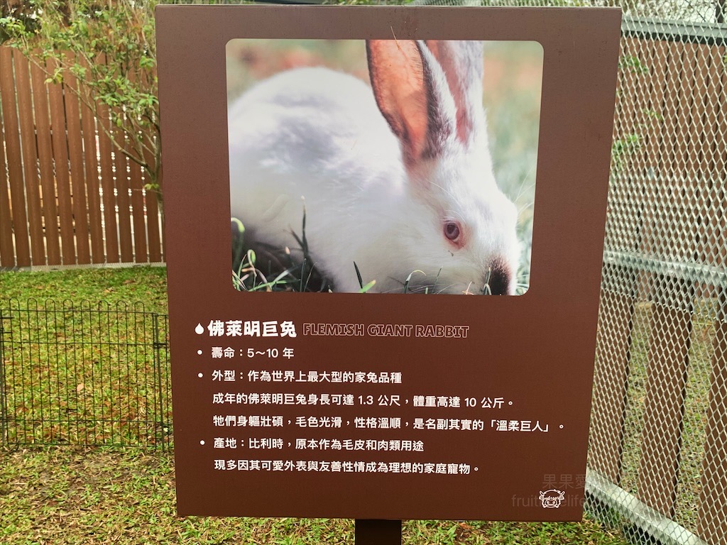 水与松萌萌園⟩南投埔里景點，許多可愛的超萌小動物，有超人氣的水豚君(卡皮巴拉)、笑笑羊，可以零距離和牠們互動 @果果愛Fruitlove