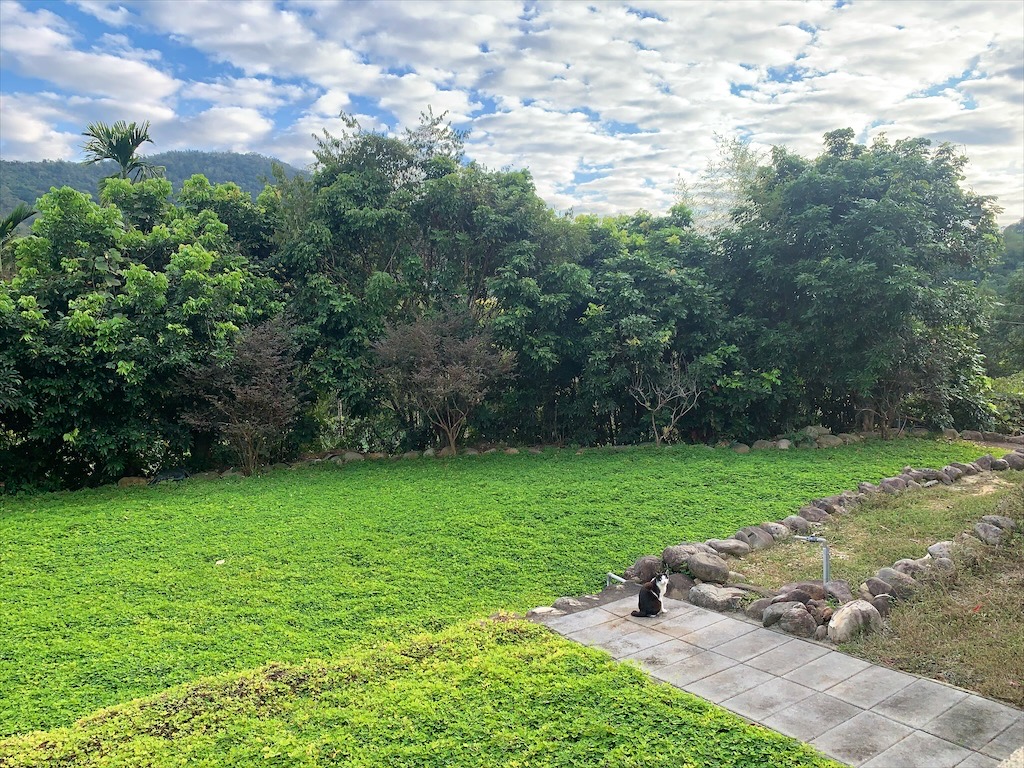 李董果醋莊園⟩南投國姓果醋，李董以醋交友，果醋、酵素口味超多種，不只可品嘗，還可以了解果醋與酵素對人體的好處，寵物友善 @果果愛Fruitlove