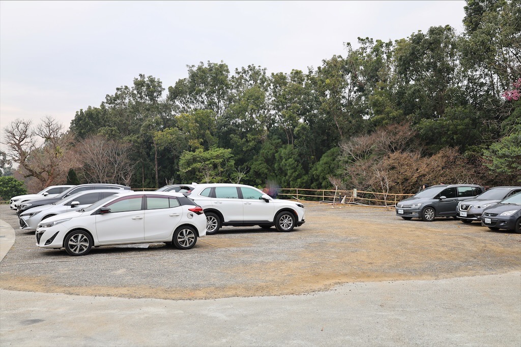 菇神鹿谷店⟩南投鹿谷美食餐廳，黃金蟲草古早雞海味料理饗宴，大份量又美味，滿額還送鹿芝谷門票/寵物友善 @果果愛Fruitlove