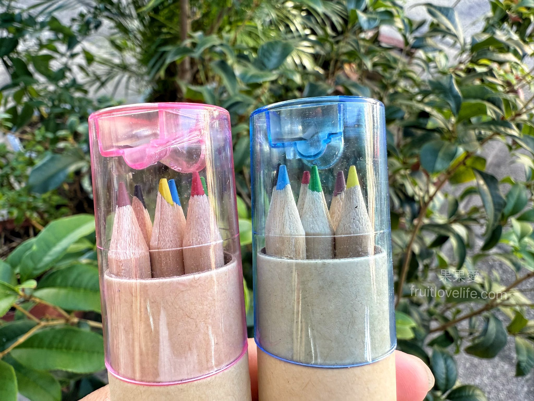 鹿芝谷生態景觀園區⟩南投鹿谷景點，許多超萌的可愛小動物，也有超人氣的水豚君(卡皮巴拉)，加上山巒景色讓人感到美不勝收 @果果愛Fruitlove