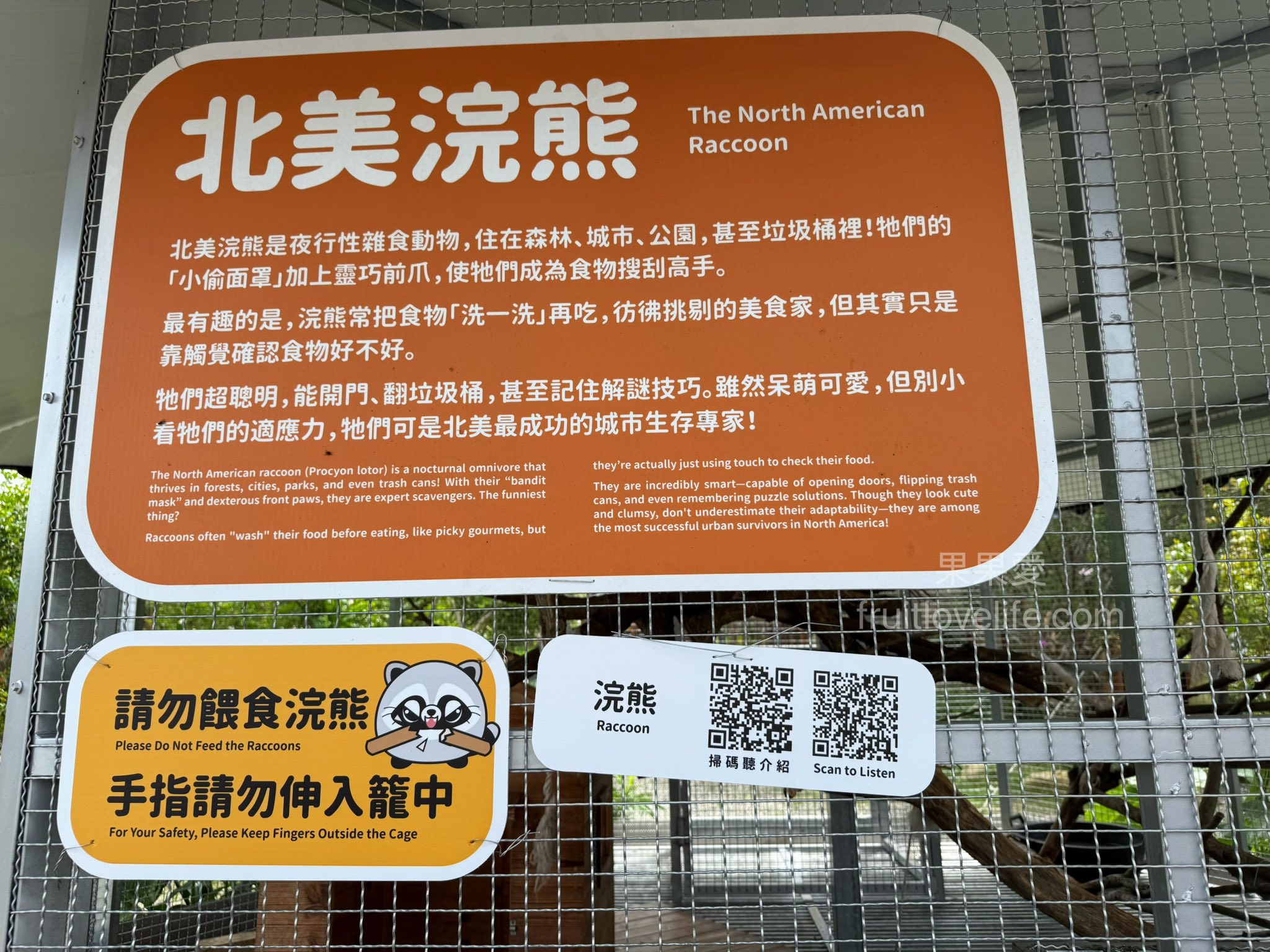 鹿芝谷生態景觀園區⟩南投鹿谷景點，許多超萌的可愛小動物，也有超人氣的水豚君(卡皮巴拉)，加上山巒景色讓人感到美不勝收 @果果愛Fruitlove