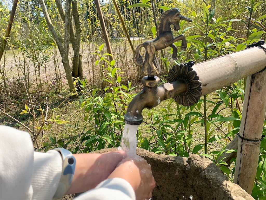 紫鳶山城-覓境莊園⟩苗栗銅鑼寵物友善住宿，蟲鳴鳥語、竹林群山環繞、星光點點，讓人和毛孩都感到放鬆的渡假莊園 @果果愛Fruitlove