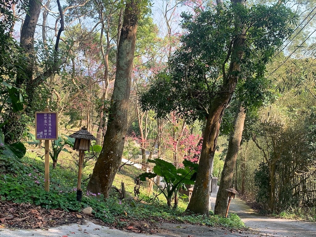 紫鳶山城-覓境莊園⟩苗栗銅鑼寵物友善住宿，蟲鳴鳥語、竹林群山環繞、星光點點，讓人和毛孩都感到放鬆的渡假莊園 @果果愛Fruitlove