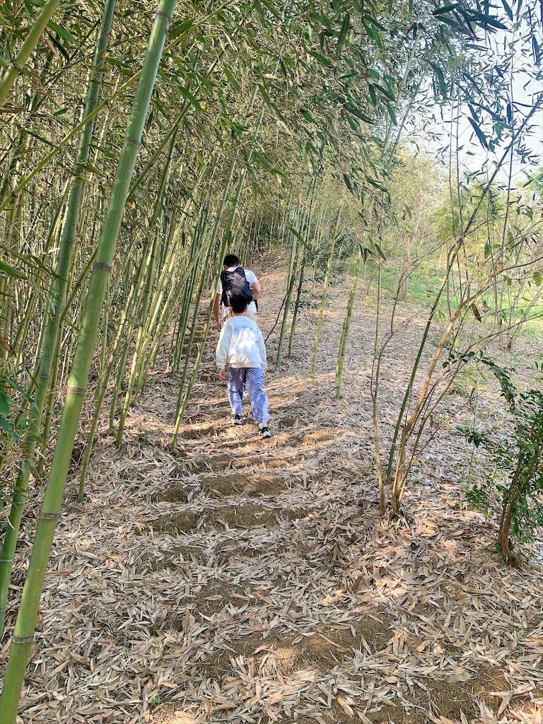 紫鳶山城-覓境莊園⟩苗栗銅鑼寵物友善住宿，蟲鳴鳥語、竹林群山環繞、星光點點，讓人和毛孩都感到放鬆的渡假莊園 @果果愛Fruitlove