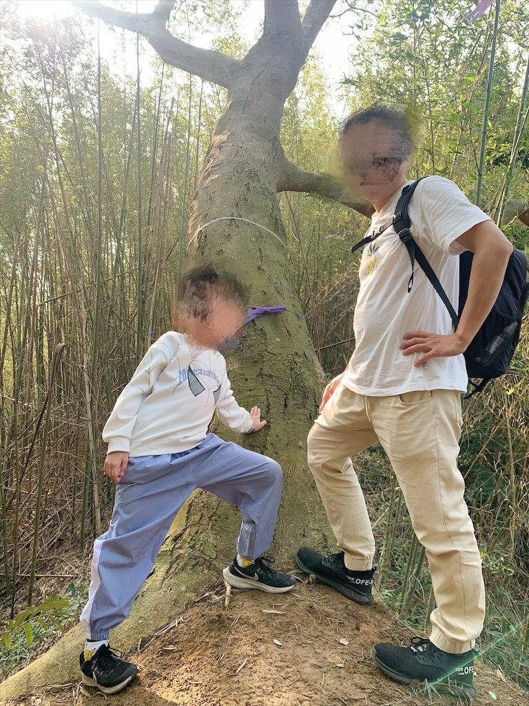 紫鳶山城-覓境莊園⟩苗栗銅鑼寵物友善住宿，蟲鳴鳥語、竹林群山環繞、星光點點，讓人和毛孩都感到放鬆的渡假莊園 @果果愛Fruitlove