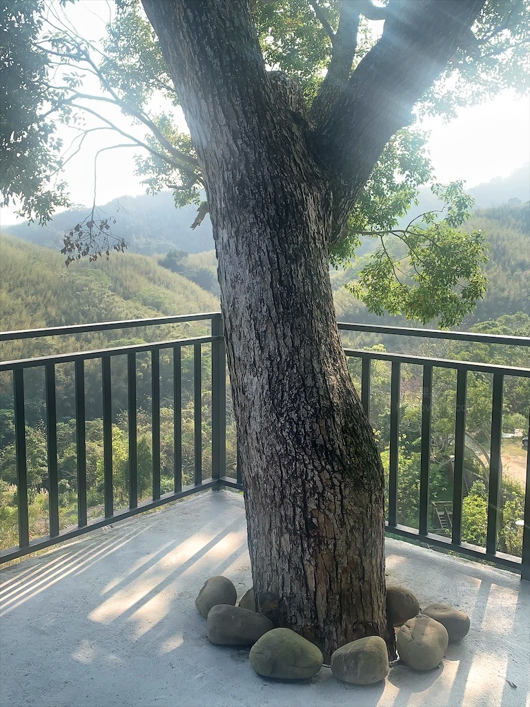 紫鳶山城-覓境莊園⟩苗栗銅鑼寵物友善住宿，蟲鳴鳥語、竹林群山環繞、星光點點，讓人和毛孩都感到放鬆的渡假莊園 @果果愛Fruitlove