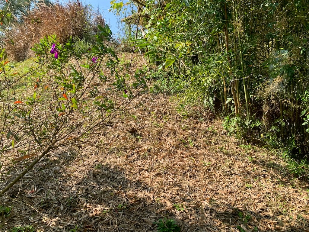 紫鳶山城-覓境莊園⟩苗栗銅鑼寵物友善住宿，蟲鳴鳥語、竹林群山環繞、星光點點，讓人和毛孩都感到放鬆的渡假莊園 @果果愛Fruitlove