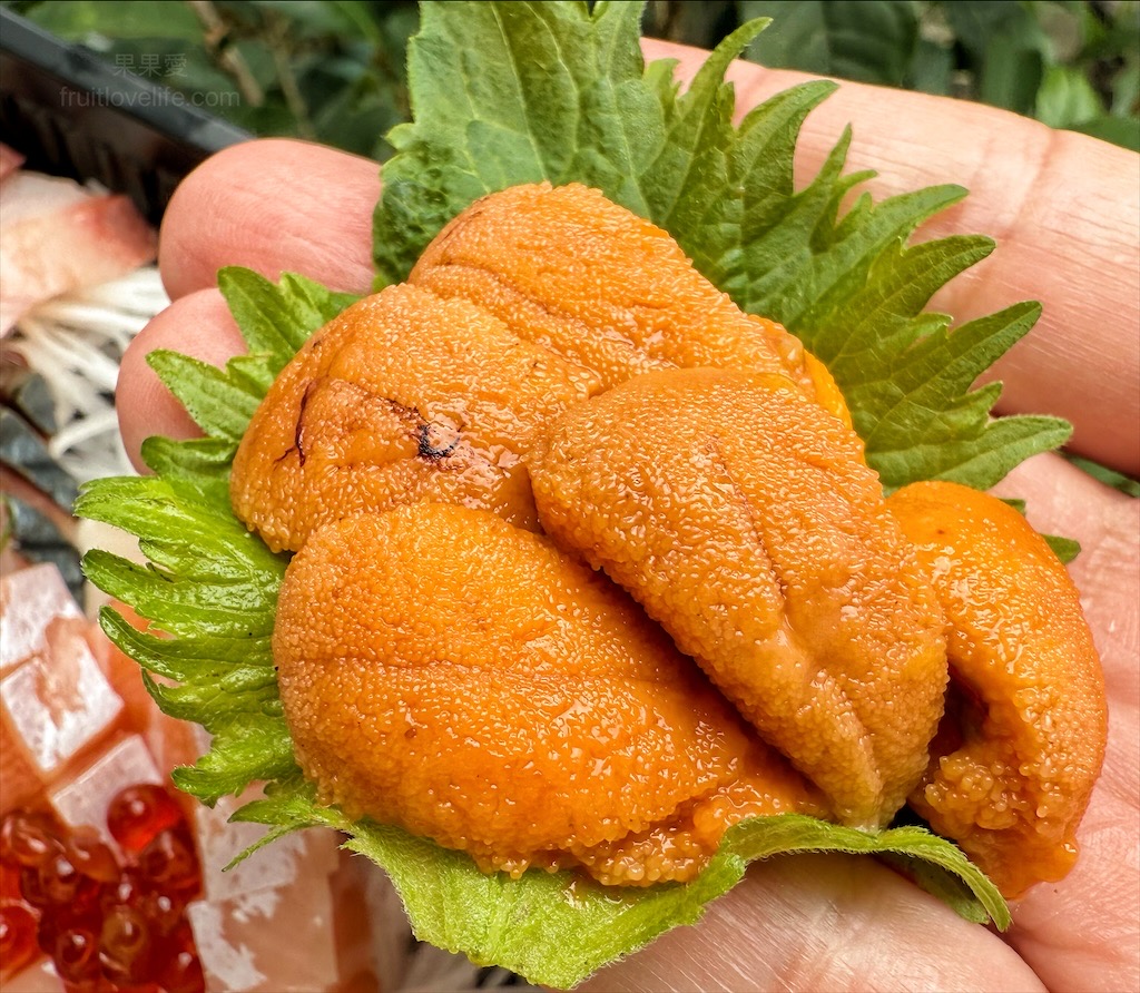 瀧慶水產⟩台中大里生魚片、握壽司、丼飯、烤物，超隱密的生魚片，有許多特殊魚種的生魚片，新鮮、甘甜又超值 @果果愛Fruitlove