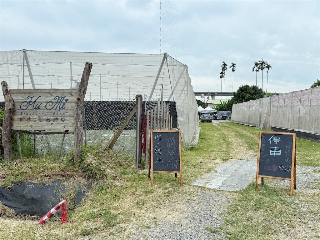 呼密藍莓農場霧峰園區⟩台中霧峰採果趣，親子採藍莓初體驗，農場自製的草莓和藍莓優格冰棒不能錯過 @果果愛Fruitlove