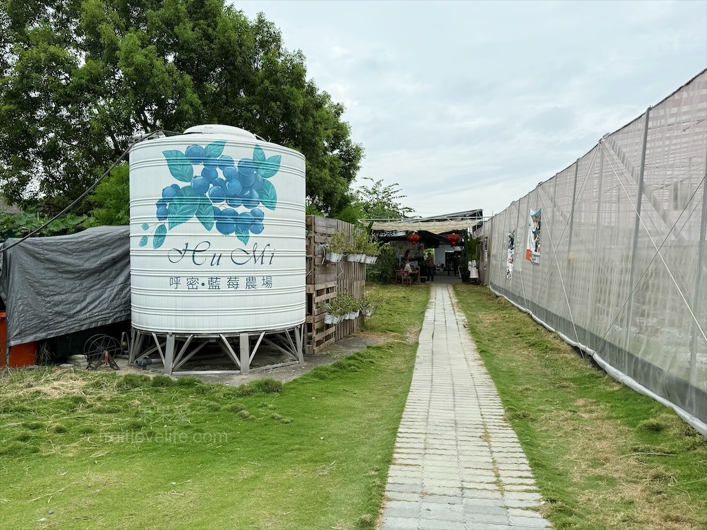 呼密藍莓農場霧峰園區⟩台中霧峰採果趣，親子採藍莓初體驗，農場自製的草莓和藍莓優格冰棒不能錯過 @果果愛Fruitlove