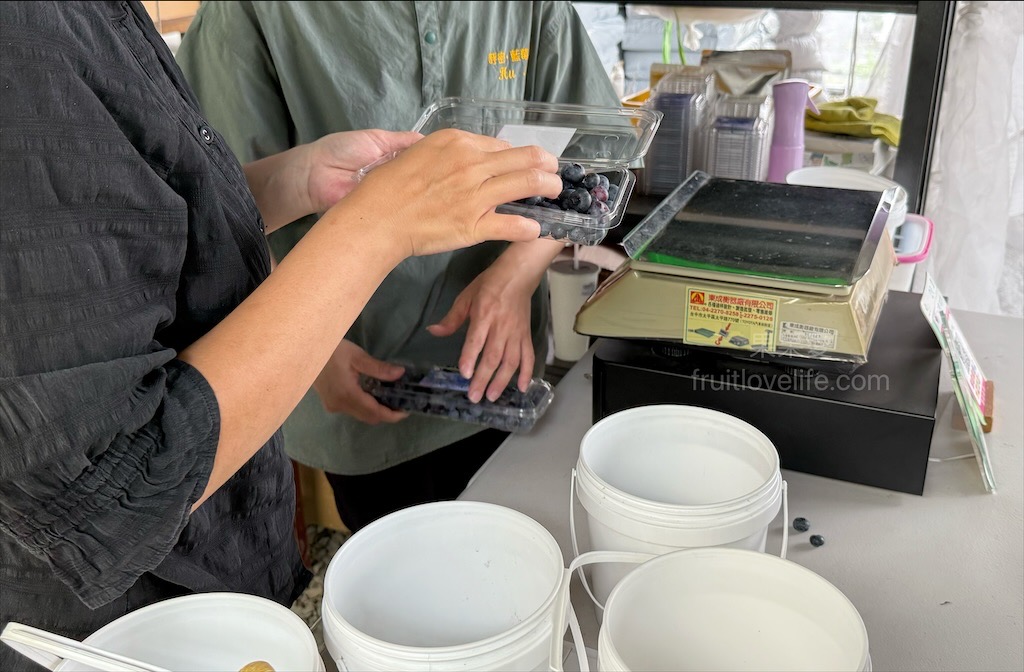 呼密藍莓農場霧峰園區⟩台中霧峰採果趣，親子採藍莓初體驗，農場自製的草莓和藍莓優格冰棒不能錯過 @果果愛Fruitlove