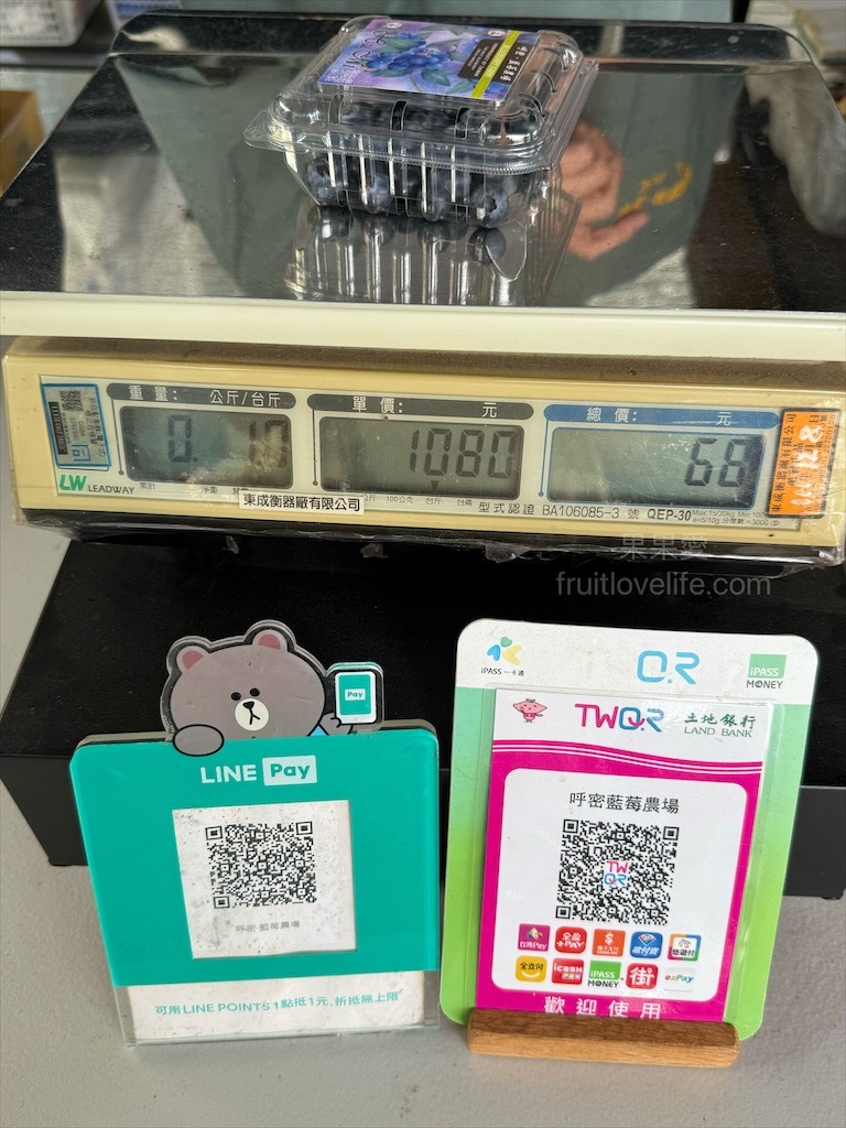 呼密藍莓農場霧峰園區⟩台中霧峰採果趣，親子採藍莓初體驗，農場自製的草莓和藍莓優格冰棒不能錯過 @果果愛Fruitlove