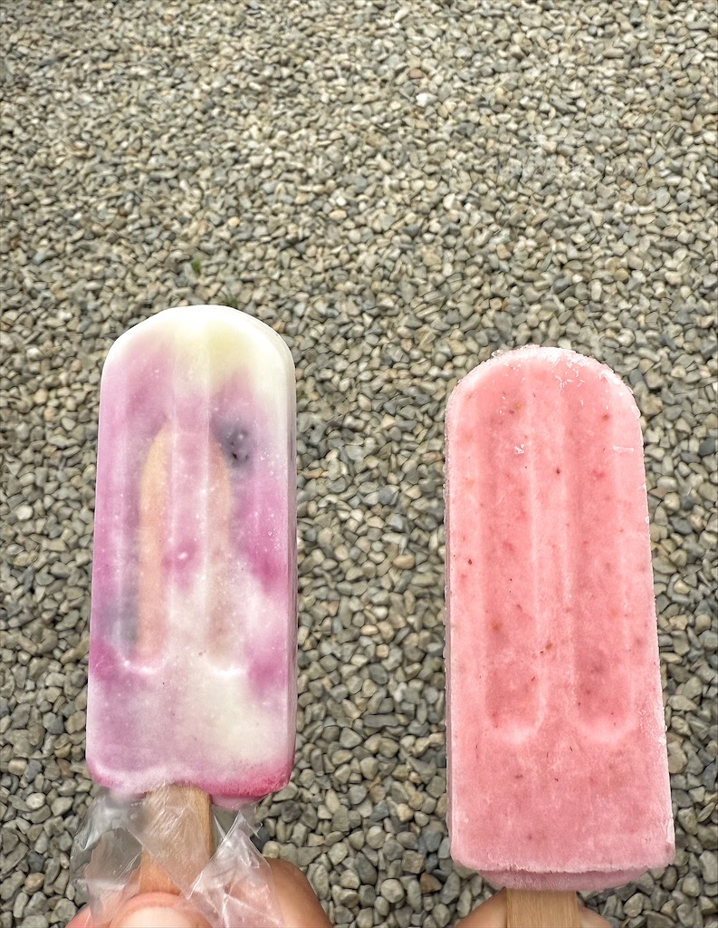 呼密藍莓農場霧峰園區⟩台中霧峰採果趣，親子採藍莓初體驗，農場自製的草莓和藍莓優格冰棒不能錯過 @果果愛Fruitlove