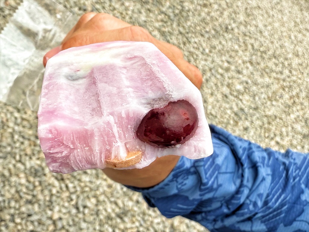 呼密藍莓農場霧峰園區⟩台中霧峰採果趣，親子採藍莓初體驗，農場自製的草莓和藍莓優格冰棒不能錯過 @果果愛Fruitlove