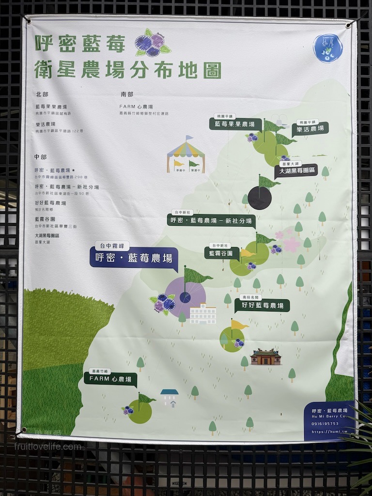 呼密藍莓農場霧峰園區⟩台中霧峰採果趣，親子採藍莓初體驗，農場自製的草莓和藍莓優格冰棒不能錯過 @果果愛Fruitlove