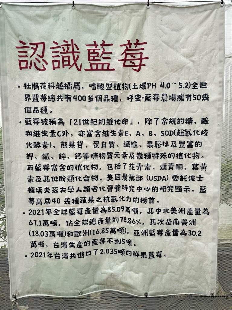 呼密藍莓農場霧峰園區⟩台中霧峰採果趣，親子採藍莓初體驗，農場自製的草莓和藍莓優格冰棒不能錯過 @果果愛Fruitlove