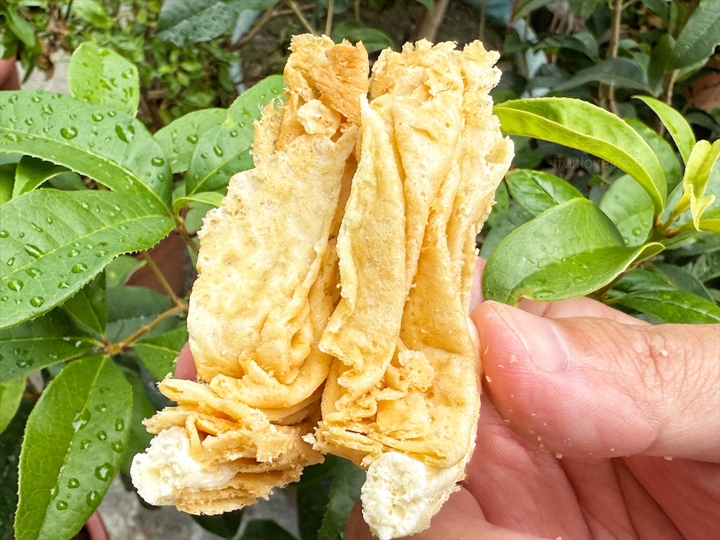 脆滴滴蛋捲⟩超涮嘴的下午茶點心-水滴蛋捲，濃郁蛋香，層層酥脆，一口接一口，追劇、伴手禮推薦 @果果愛Fruitlove