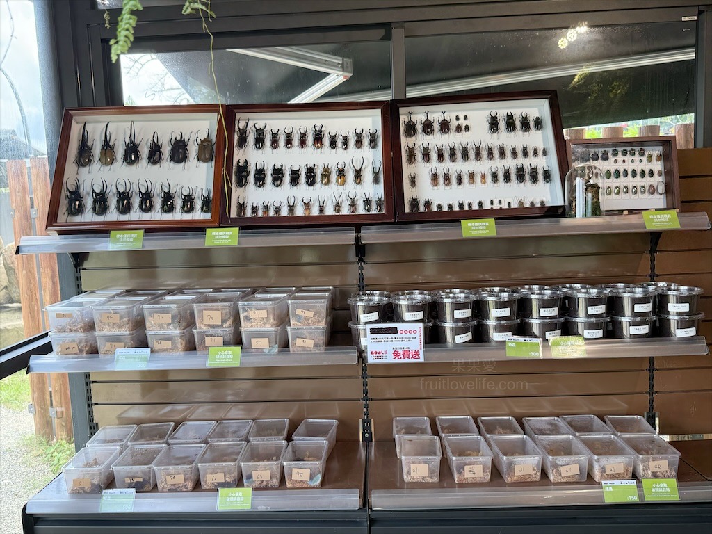 鹿芝谷生態景觀園區⟩南投鹿谷景點，許多超萌的可愛小動物，也有超人氣的水豚君(卡皮巴拉)，加上山巒景色讓人感到美不勝收 @果果愛Fruitlove