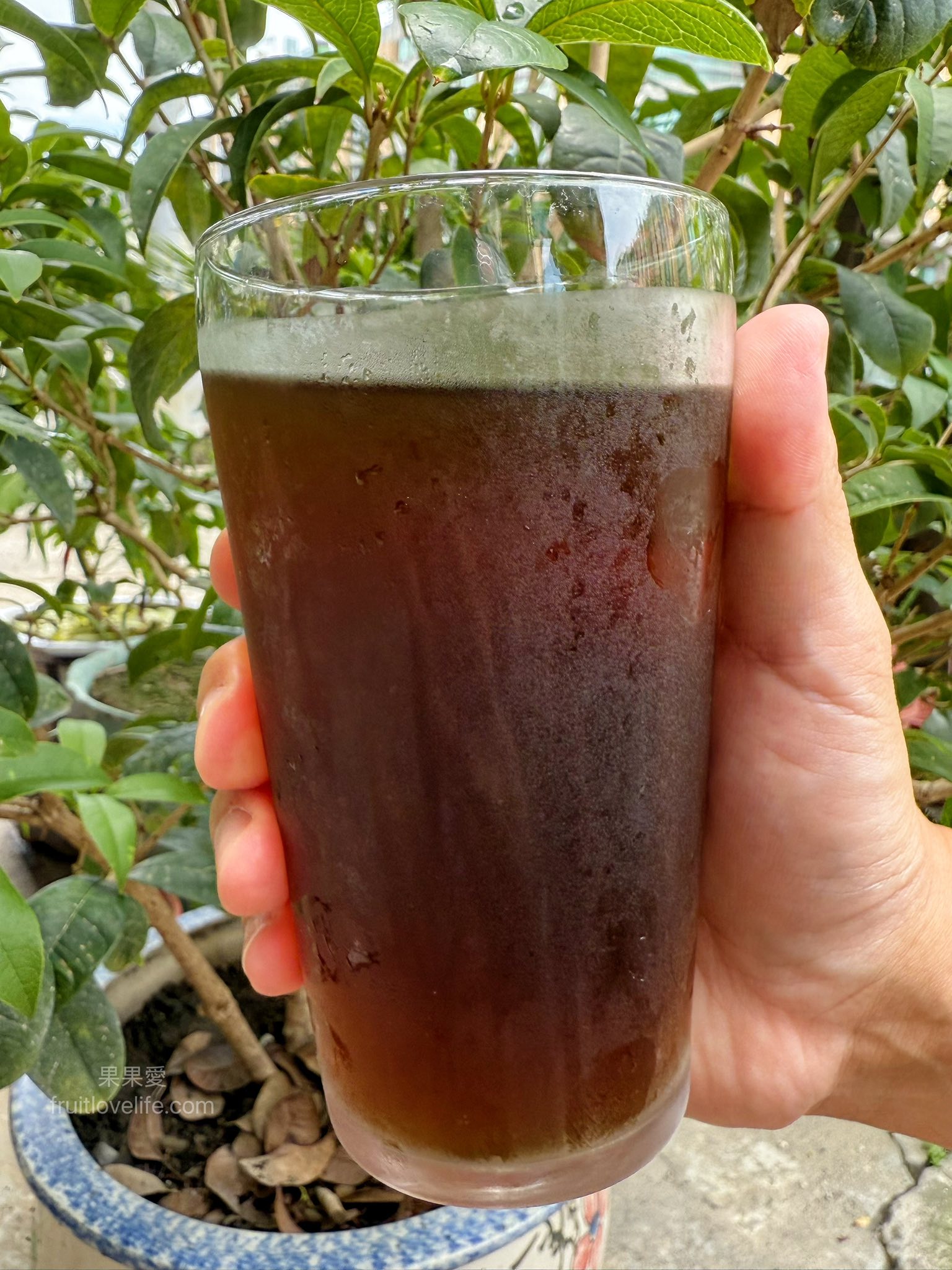 菇神煲樂鍋開箱|鹿芝谷集點送鍋超划算，天白花菇燉雞湯美味又暖心！ @果果愛Fruitlove