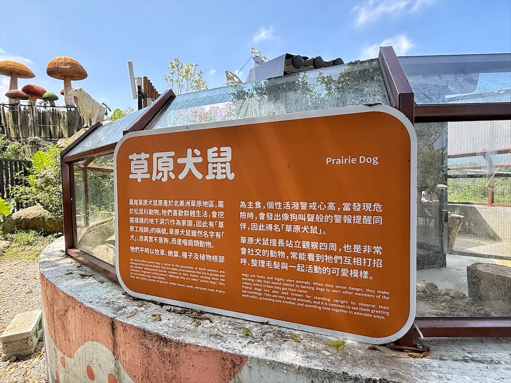南投鹿谷親子景點｜鹿芝谷生態景觀園區：水豚、浣熊療癒系萌寵互動，山巒景色讓人感到美不勝收 @果果愛Fruitlove