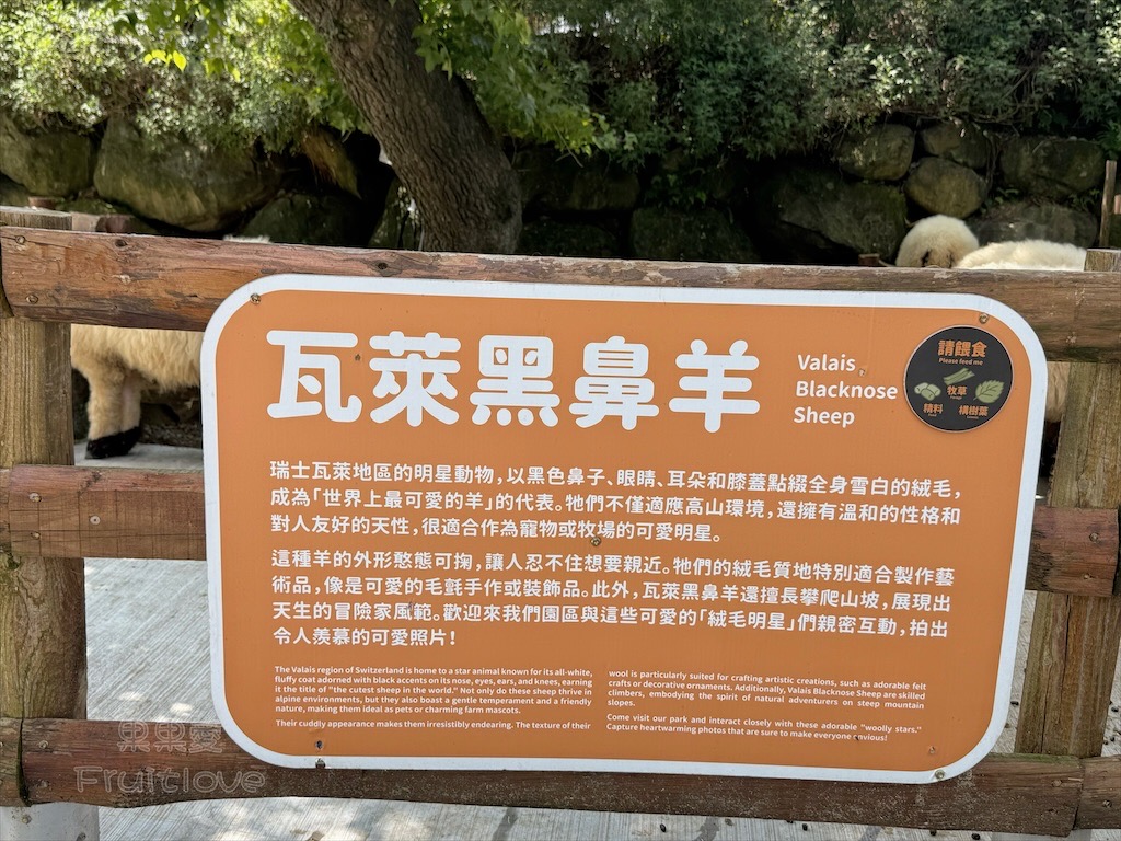 南投鹿谷親子景點｜鹿芝谷生態景觀園區：水豚、浣熊療癒系萌寵互動，山巒景色讓人感到美不勝收 @果果愛Fruitlove