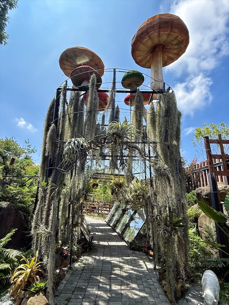 南投鹿谷親子景點｜鹿芝谷生態景觀園區：水豚、浣熊療癒系萌寵互動，山巒景色讓人感到美不勝收 @果果愛Fruitlove