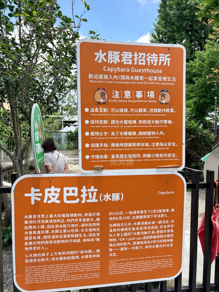 南投鹿谷親子景點｜鹿芝谷生態景觀園區：水豚、浣熊療癒系萌寵互動，山巒景色讓人感到美不勝收 @果果愛Fruitlove
