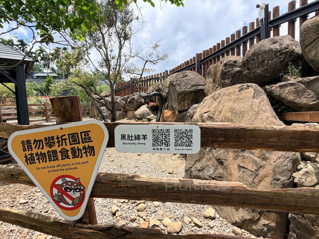 南投鹿谷親子景點｜鹿芝谷生態景觀園區：水豚、浣熊療癒系萌寵互動，山巒景色讓人感到美不勝收 @果果愛Fruitlove