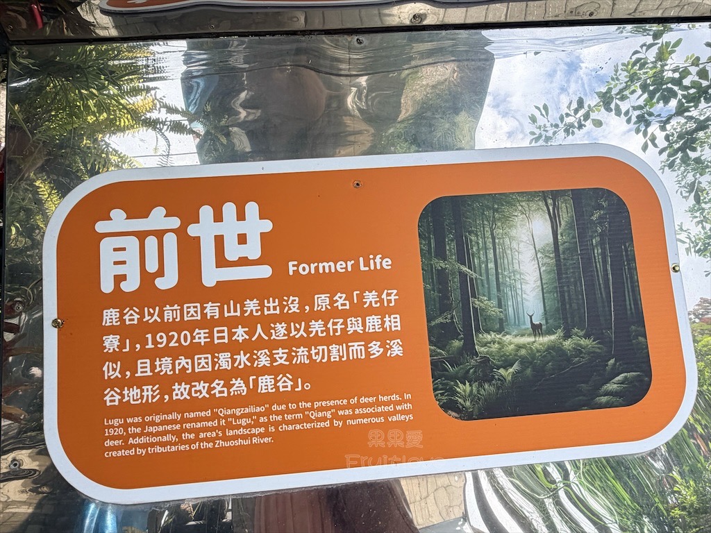 南投鹿谷親子景點｜鹿芝谷生態景觀園區：水豚、浣熊療癒系萌寵互動，山巒景色讓人感到美不勝收 @果果愛Fruitlove