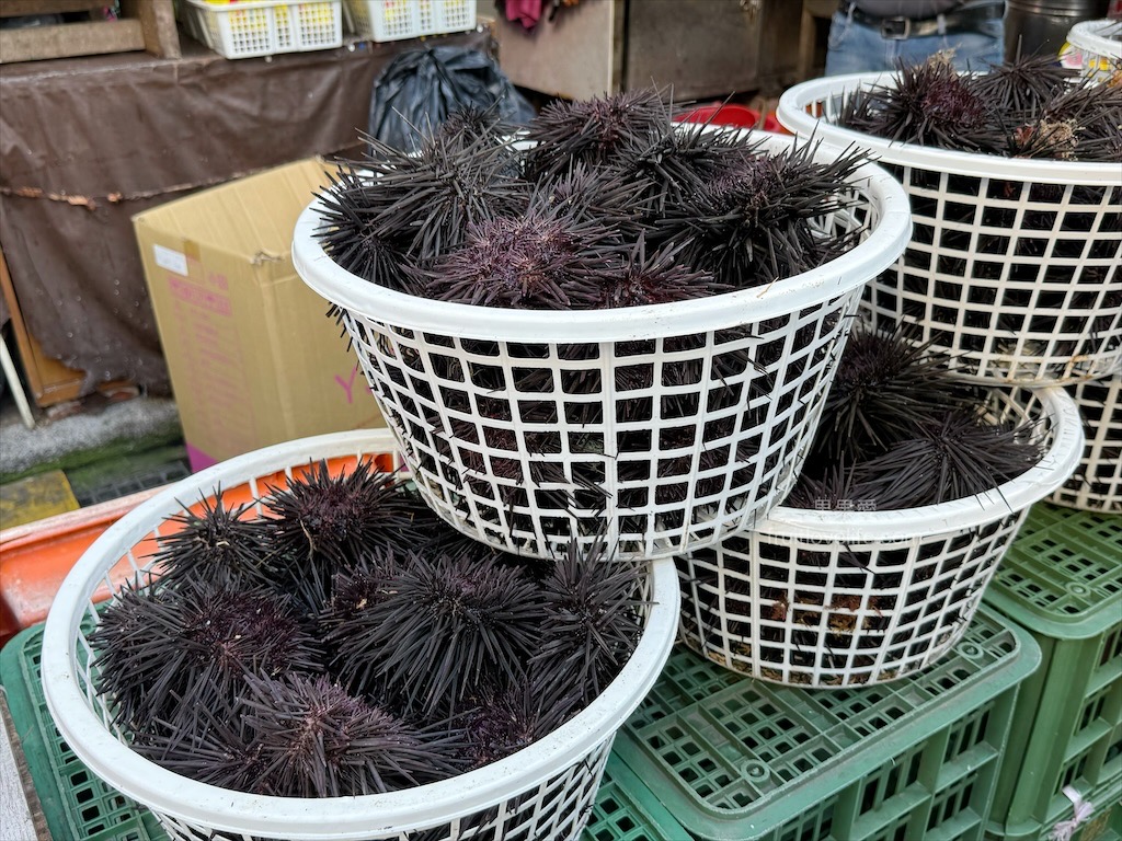 正港ㄟ傳統粉圓⟩澎湖馬公北辰市場美食，澎湖現剖現吃的海膽，味道真的讓人回味無窮 @果果愛Fruitlove