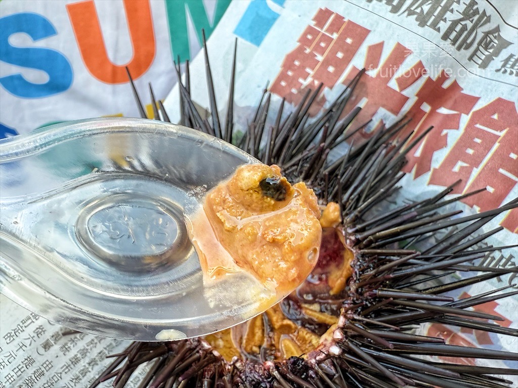 正港ㄟ傳統粉圓⟩澎湖馬公北辰市場美食，澎湖現剖現吃的海膽，味道真的讓人回味無窮 @果果愛Fruitlove