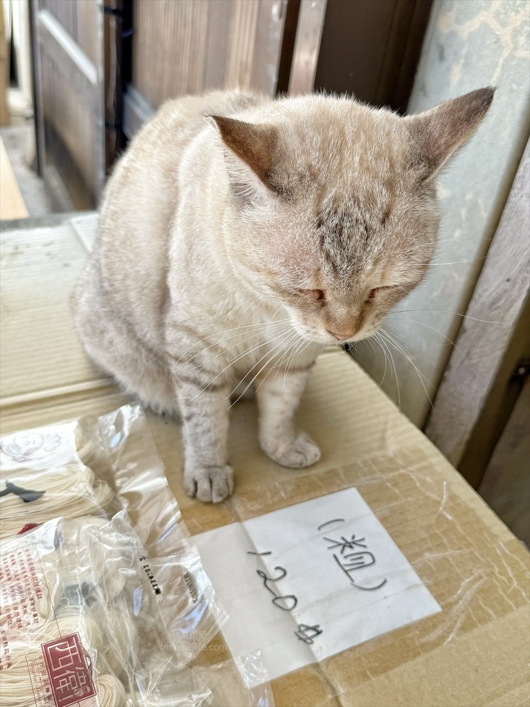 鄭師傅手工麵線 | 澎湖西衛手工麵線，麵線手工傳承，日曬工法，Q彈好滋味，還有萌貓接待 @果果愛Fruitlove