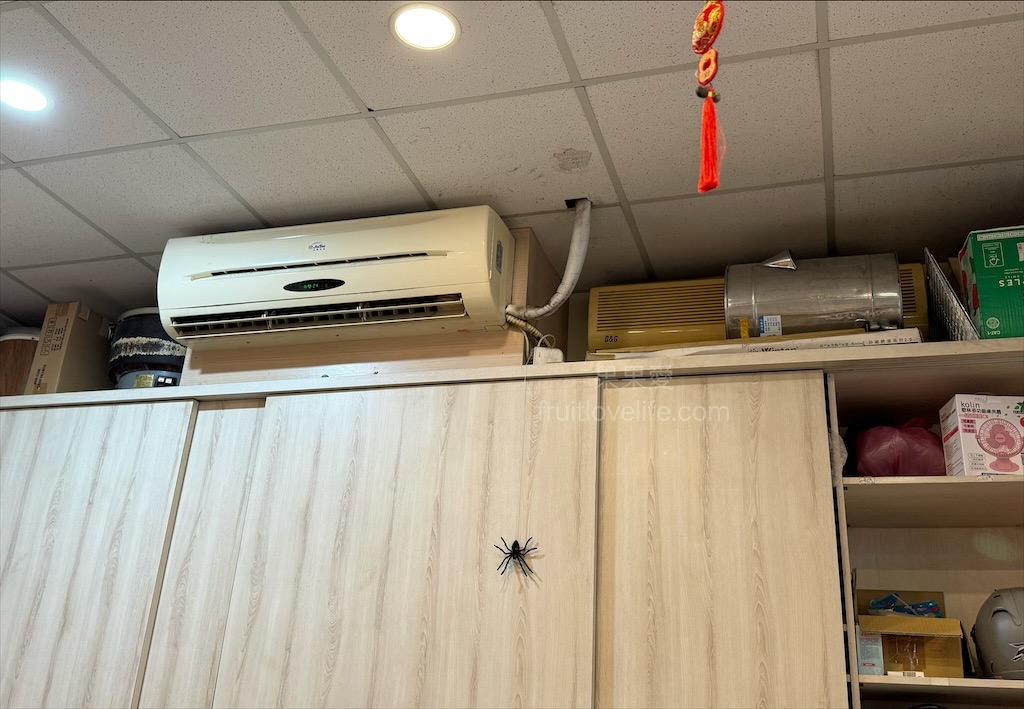 傲嬌猫早午餐 | 台中南區早午餐，店內有可愛的貓咪，內用有冷氣，出餐速度也很快 @果果愛Fruitlove