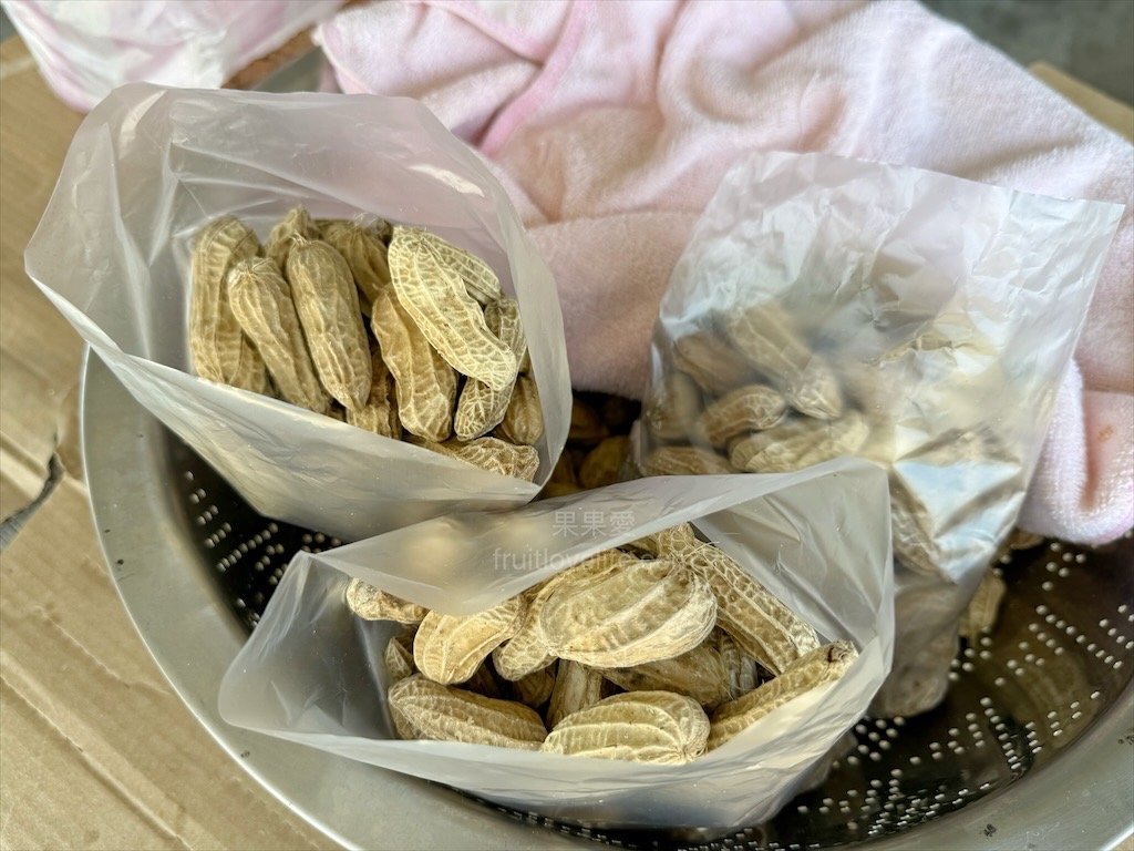 錢媽媽肉粽 | 苗栗通霄肉粽、蚵嗲，拱天宮找白沙屯媽祖回程不要錯過飄香50年老店，古早味肉粽米飯Q、內餡鹹香 @果果愛Fruitlove
