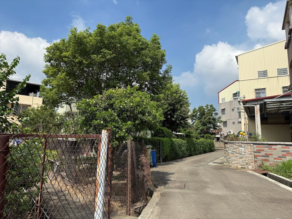 藏鱘味 | 台中大雅鱘龍魚料理餐廳，想吃鱘龍魚料理不用上谷關吃了，除了鱘龍魚料理還有多道台灣私房料理 @果果愛Fruitlove