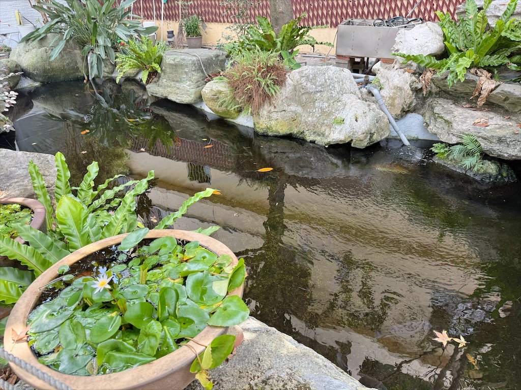 藏鱘味 | 台中大雅鱘龍魚料理餐廳，想吃鱘龍魚料理不用上谷關吃了，除了鱘龍魚料理還有多道台灣私房料理 @果果愛Fruitlove