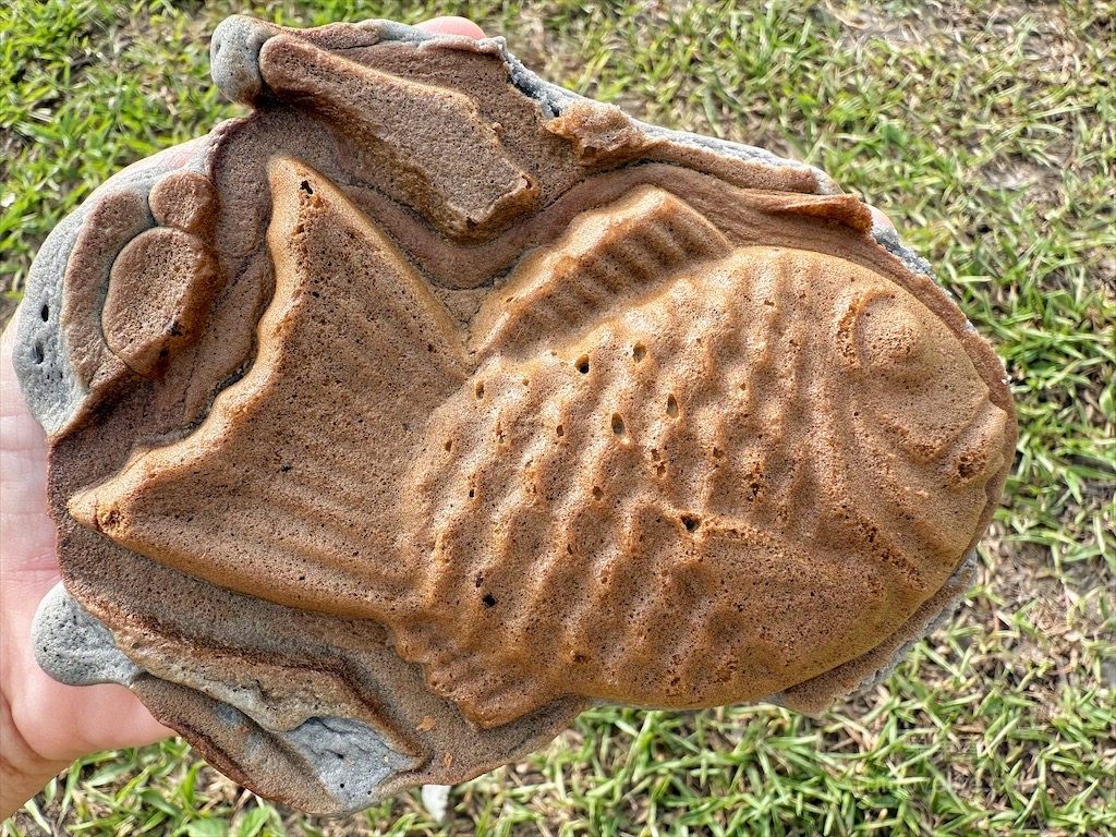 台灣鯛魚燒草屯店 | 南投草屯鯛魚燒，酷比親子運動公園附近下午茶點心，迷你、黑色鯛魚燒，鹹甜口味讓你一次滿足 @果果愛Fruitlove