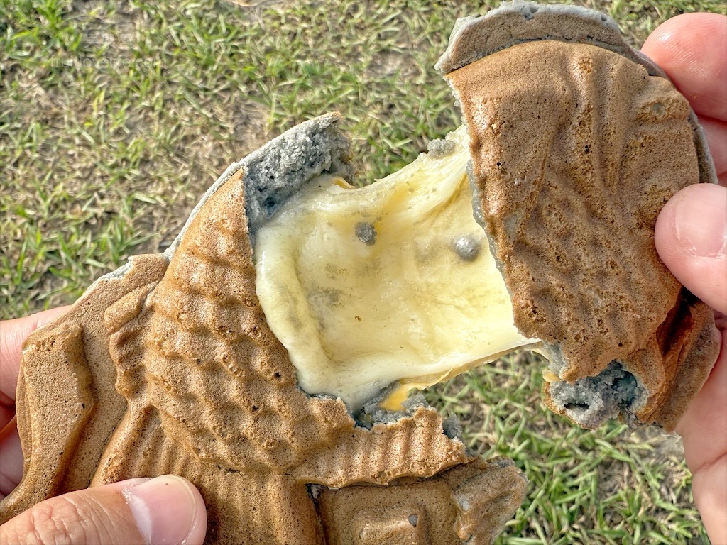 台灣鯛魚燒草屯店 | 南投草屯鯛魚燒，酷比親子運動公園附近下午茶點心，迷你、黑色鯛魚燒，鹹甜口味讓你一次滿足 @果果愛Fruitlove