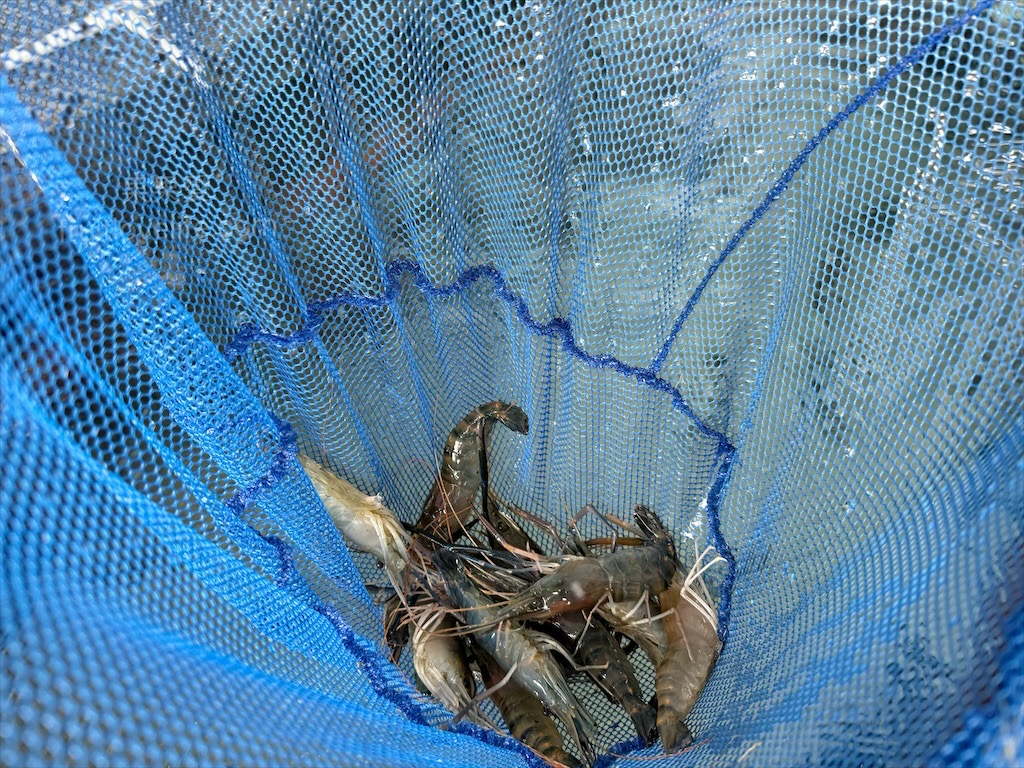 阿晾薑母鴨 | 南投薑母鴨推薦，薑母鴨、胡椒全鴨還可以一鍋兩吃，山泉水養殖吳郭魚、現撈泰國蝦，埔里在地美食，TVBS食尚玩家推薦 @果果愛Fruitlove